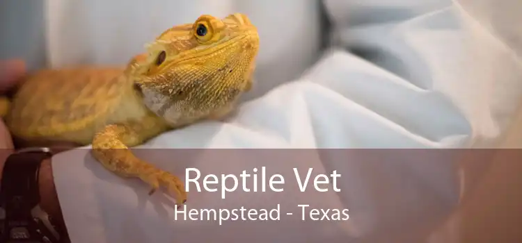 Reptile Vet Hempstead - Texas