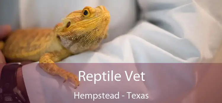 Reptile Vet Hempstead - Texas