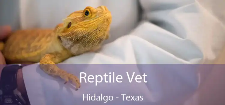 Reptile Vet Hidalgo - Texas