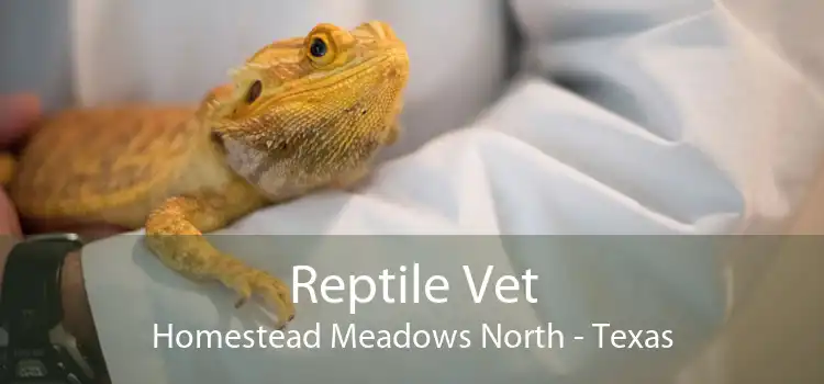 Reptile Vet Homestead Meadows North - Texas