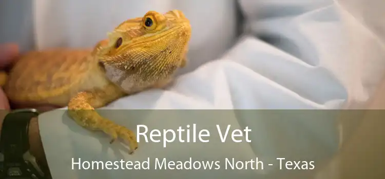 Reptile Vet Homestead Meadows North - Texas