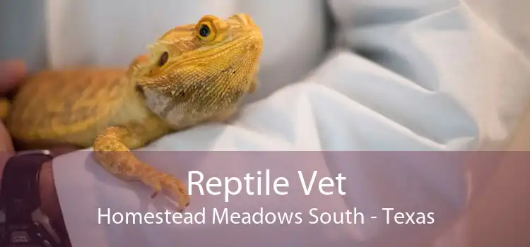 Reptile Vet Homestead Meadows South - Texas