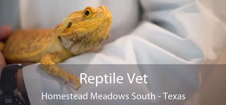 Reptile Vet Homestead Meadows South - Texas