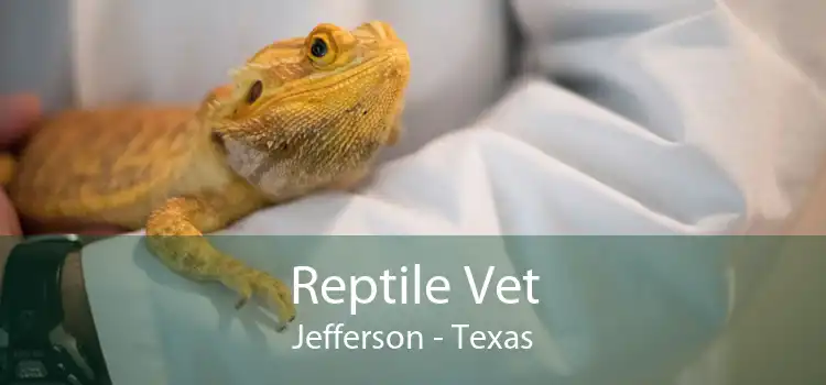 Reptile Vet Jefferson - Texas