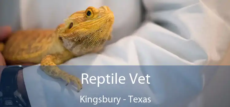 Reptile Vet Kingsbury - Texas