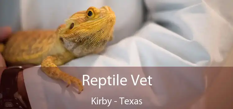 Reptile Vet Kirby - Texas