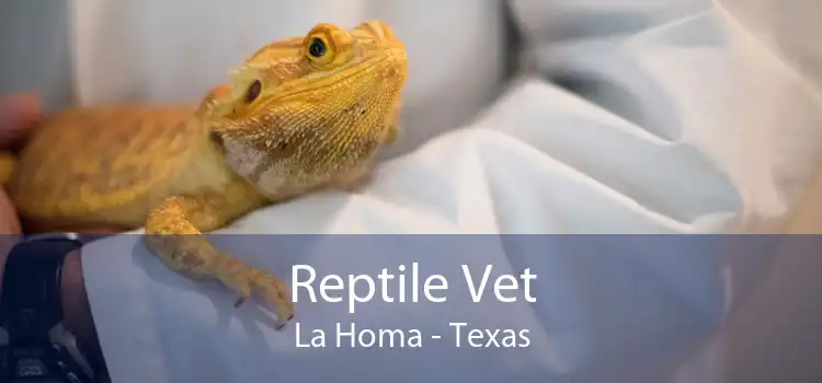 Reptile Vet La Homa - Texas