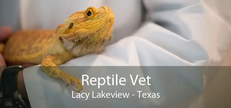 Reptile Vet Lacy Lakeview - Texas