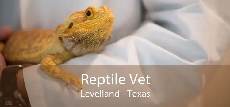 Reptile Vet Levelland - Texas