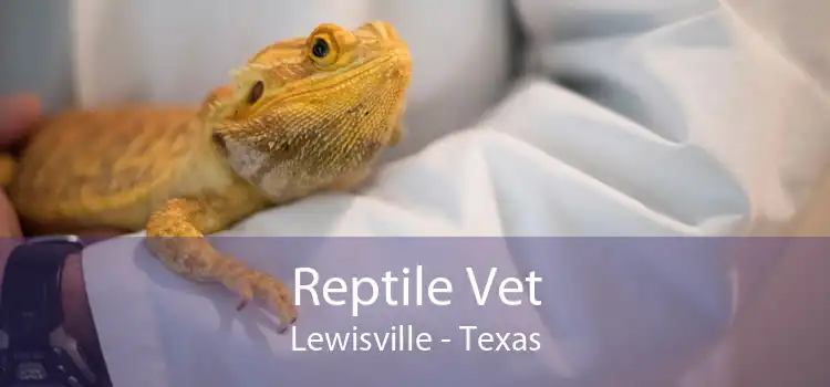 Reptile Vet Lewisville - Texas