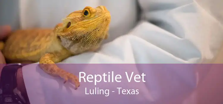 Reptile Vet Luling - Texas