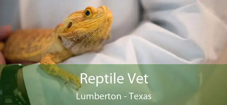 Reptile Vet Lumberton - Texas