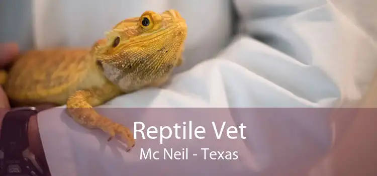 Reptile Vet Mc Neil - Texas