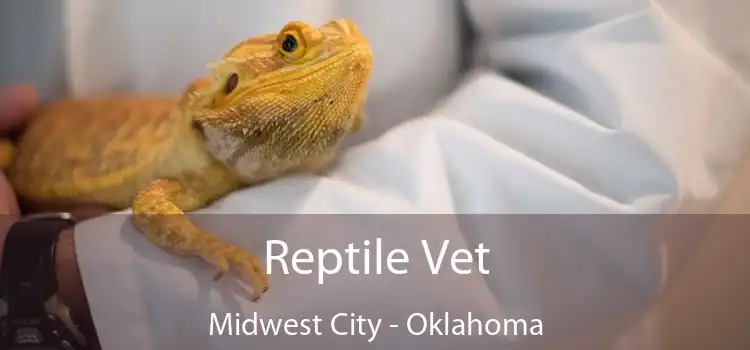 Reptile Vet Midwest City - Oklahoma