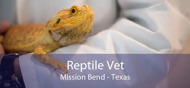 Reptile Vet Mission Bend - Texas