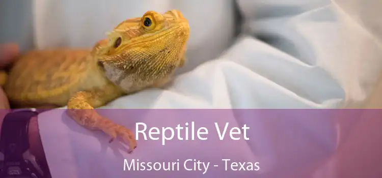 Reptile Vet Missouri City - Texas