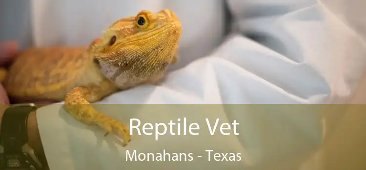 Reptile Vet Monahans - Texas