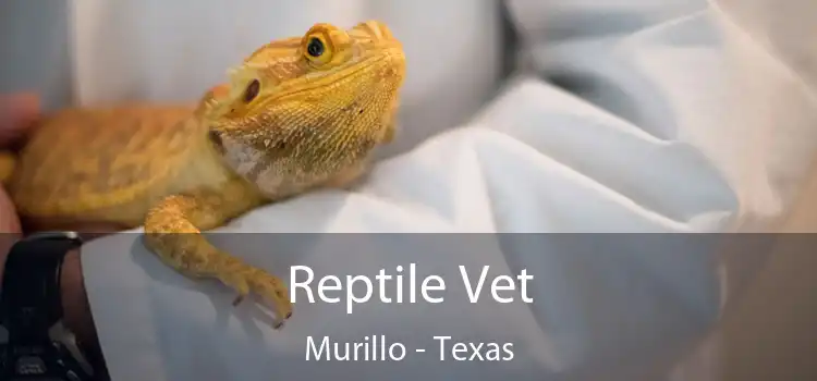 Reptile Vet Murillo - Texas