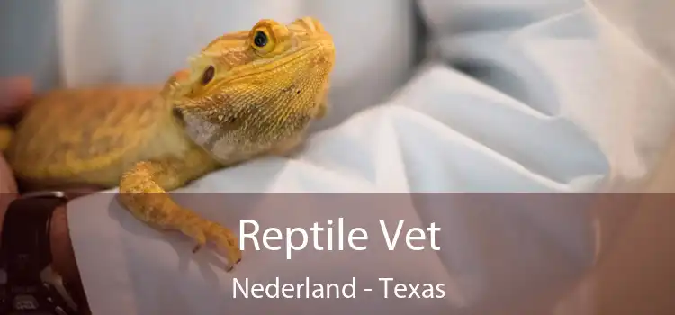 Reptile Vet Nederland - Texas