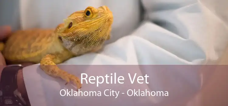 Reptile Vet Oklahoma City - Oklahoma