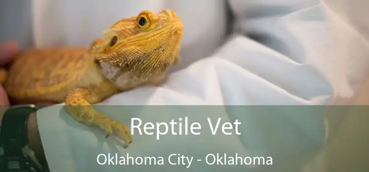 Reptile Vet Oklahoma City - Oklahoma