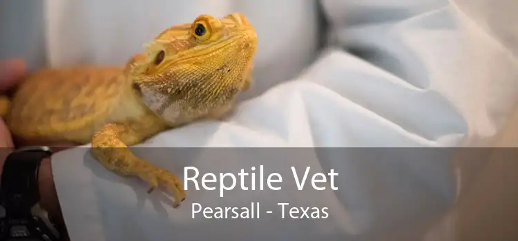Reptile Vet Pearsall - Texas