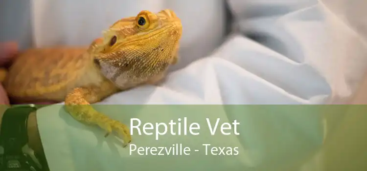 Reptile Vet Perezville - Texas