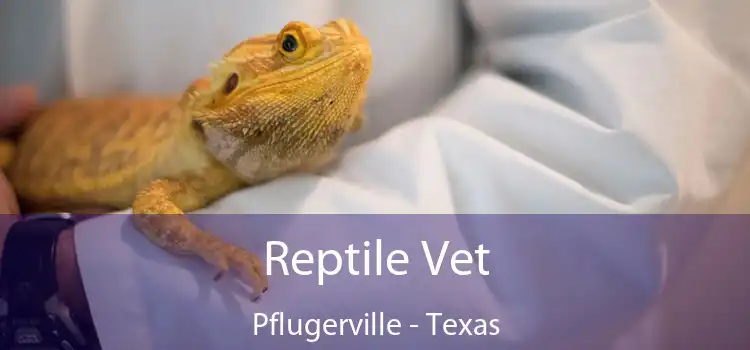 Reptile Vet Pflugerville - Texas