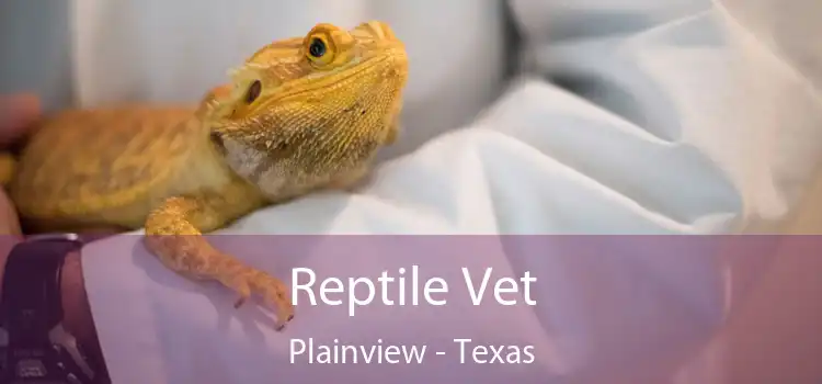 Reptile Vet Plainview - Texas