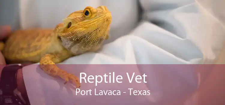 Reptile Vet Port Lavaca - Texas