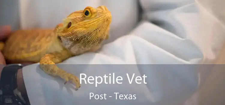 Reptile Vet Post - Texas