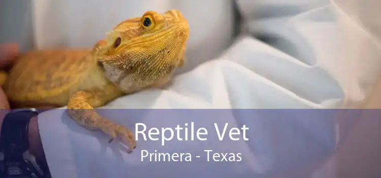Reptile Vet Primera - Texas