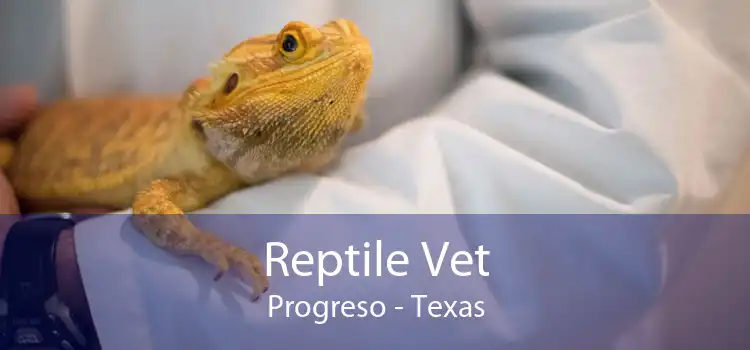Reptile Vet Progreso - Texas