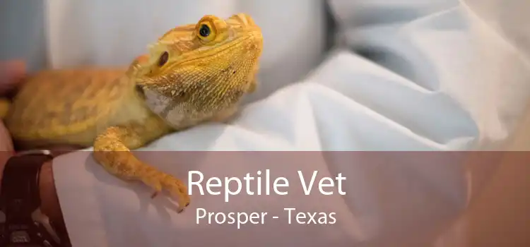 Reptile Vet Prosper - Texas
