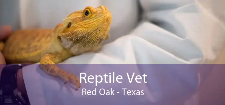 Reptile Vet Red Oak - Texas