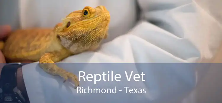 Reptile Vet Richmond - Texas