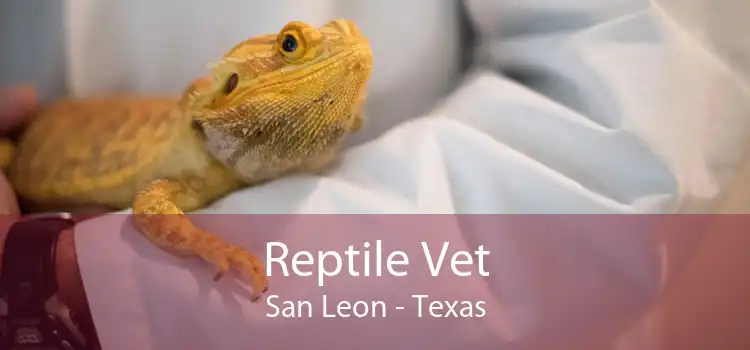 Reptile Vet San Leon - Texas