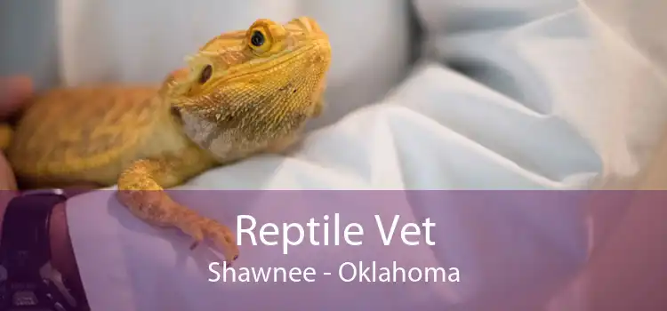 Reptile Vet Shawnee - Oklahoma