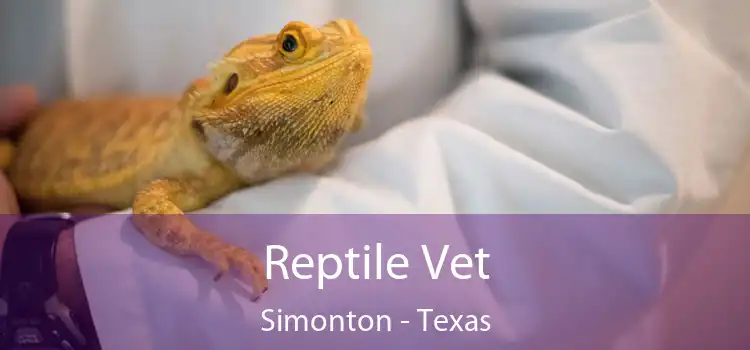 Reptile Vet Simonton - Texas