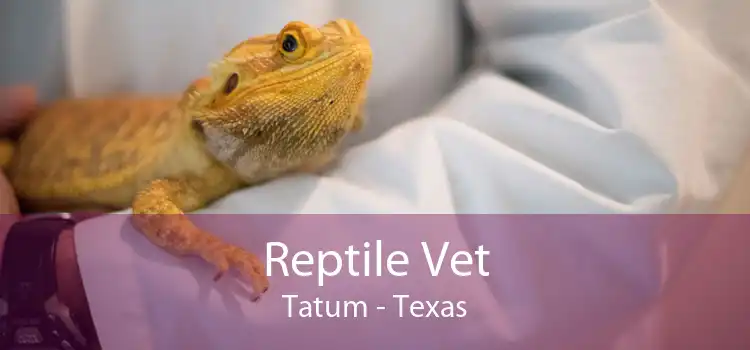 Reptile Vet Tatum - Texas