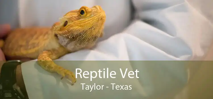 Reptile Vet Taylor - Texas
