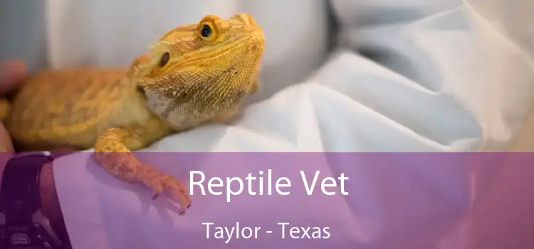 Reptile Vet Taylor - Texas