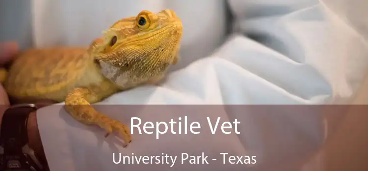 Reptile Vet University Park - Texas