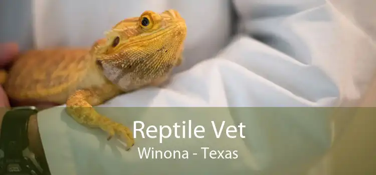 Reptile Vet Winona - Texas