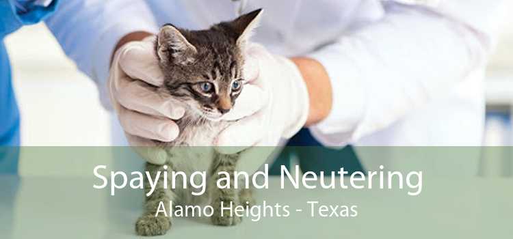 Spaying and Neutering Alamo Heights - Texas