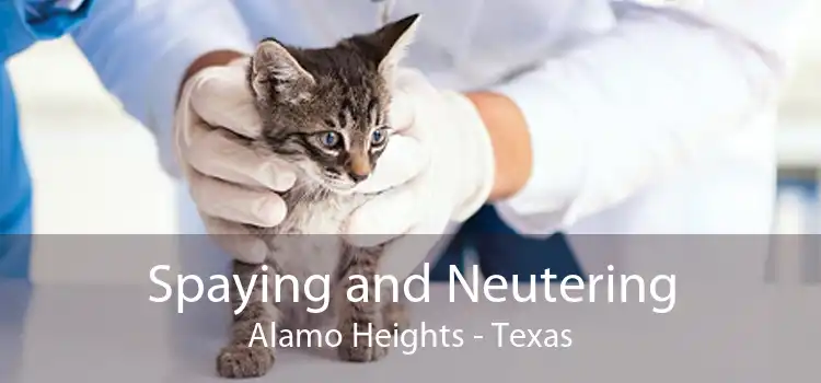 Spaying and Neutering Alamo Heights - Texas
