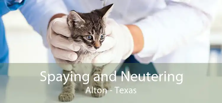 Spaying and Neutering Alton - Texas