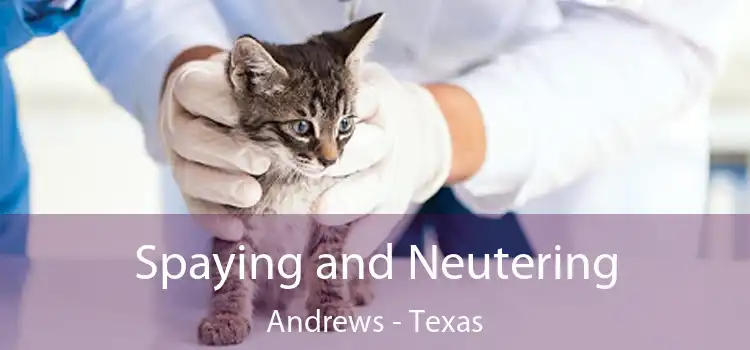 Spaying and Neutering Andrews - Texas