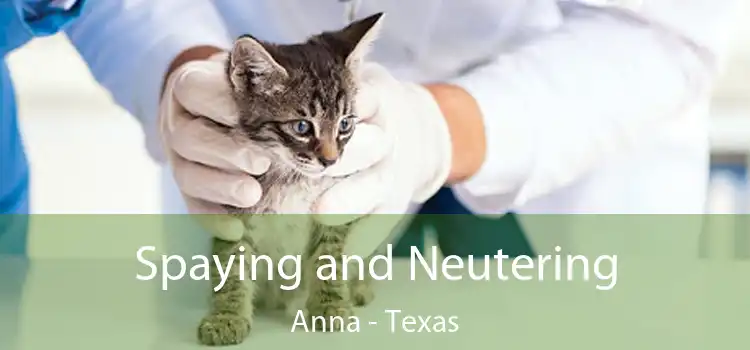 Spaying and Neutering Anna - Texas