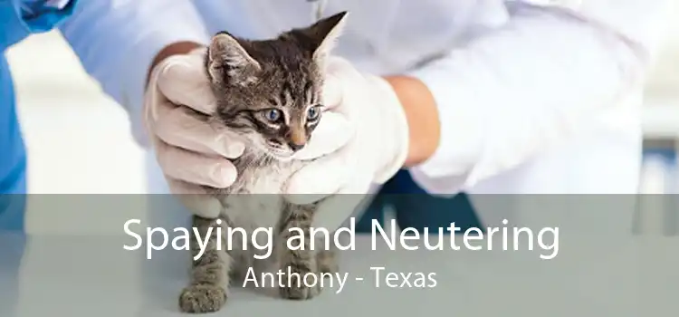 Spaying and Neutering Anthony - Texas